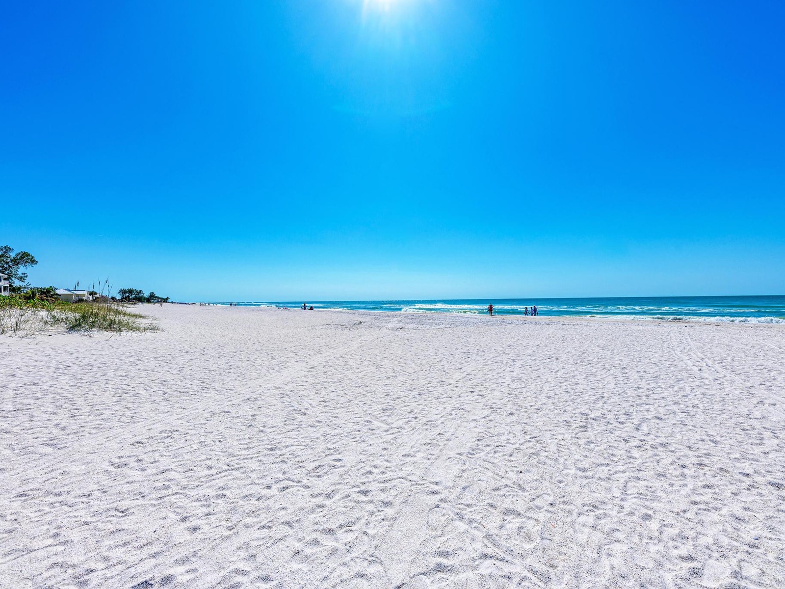 Anna Maria Island Beach Palms 6B