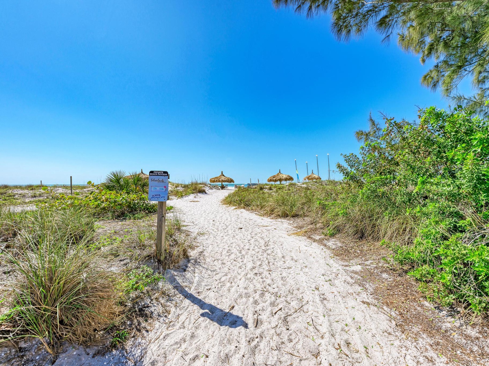 Anna Maria Island Beach Palms 6B