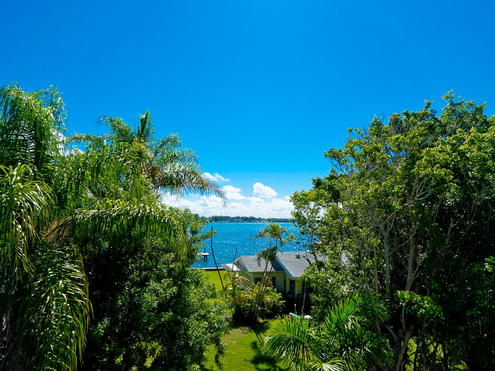 The Anna Maria Island Beach Palms 8B