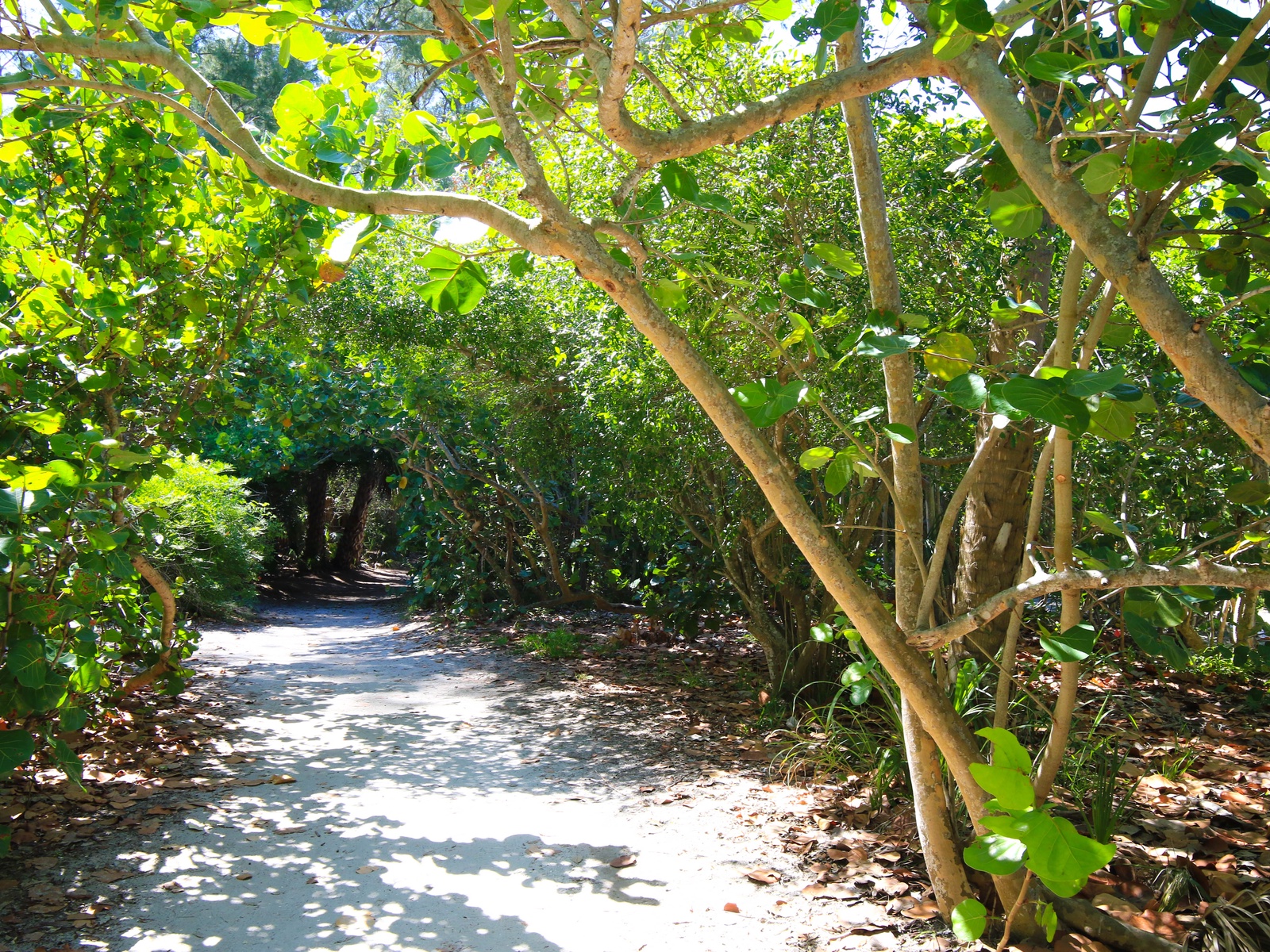 Anna Maria Island Sunshine Kiss Villa