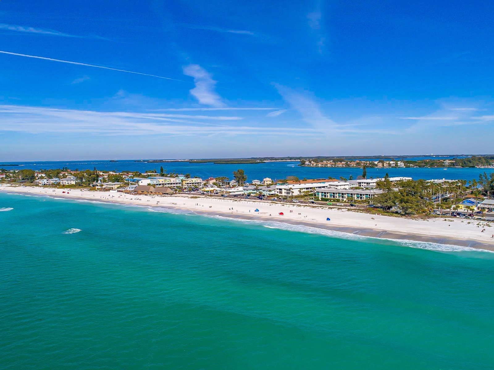 Anna Maria Island Beach Palms 2A