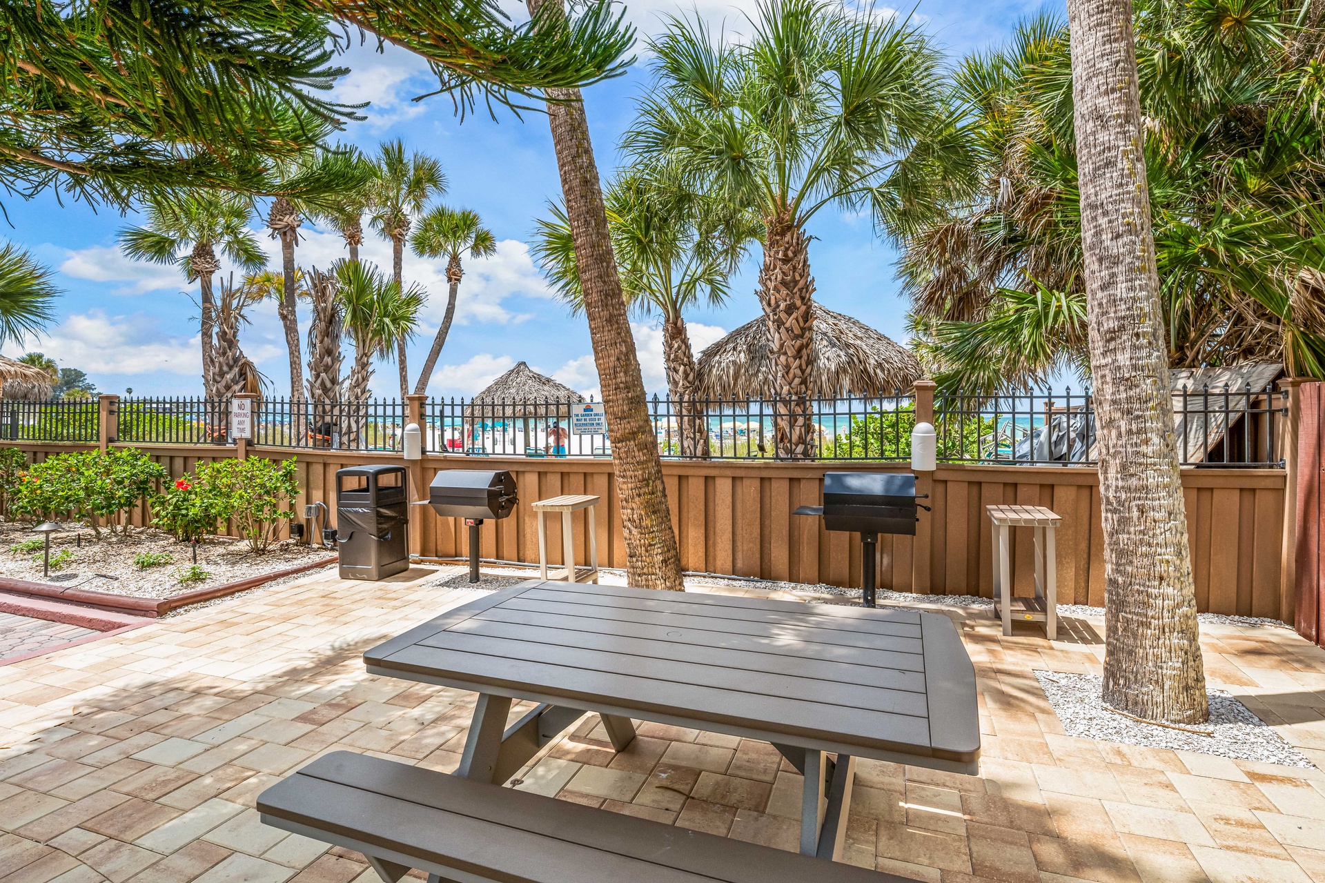 Sea Shell - 308 | Photo 478