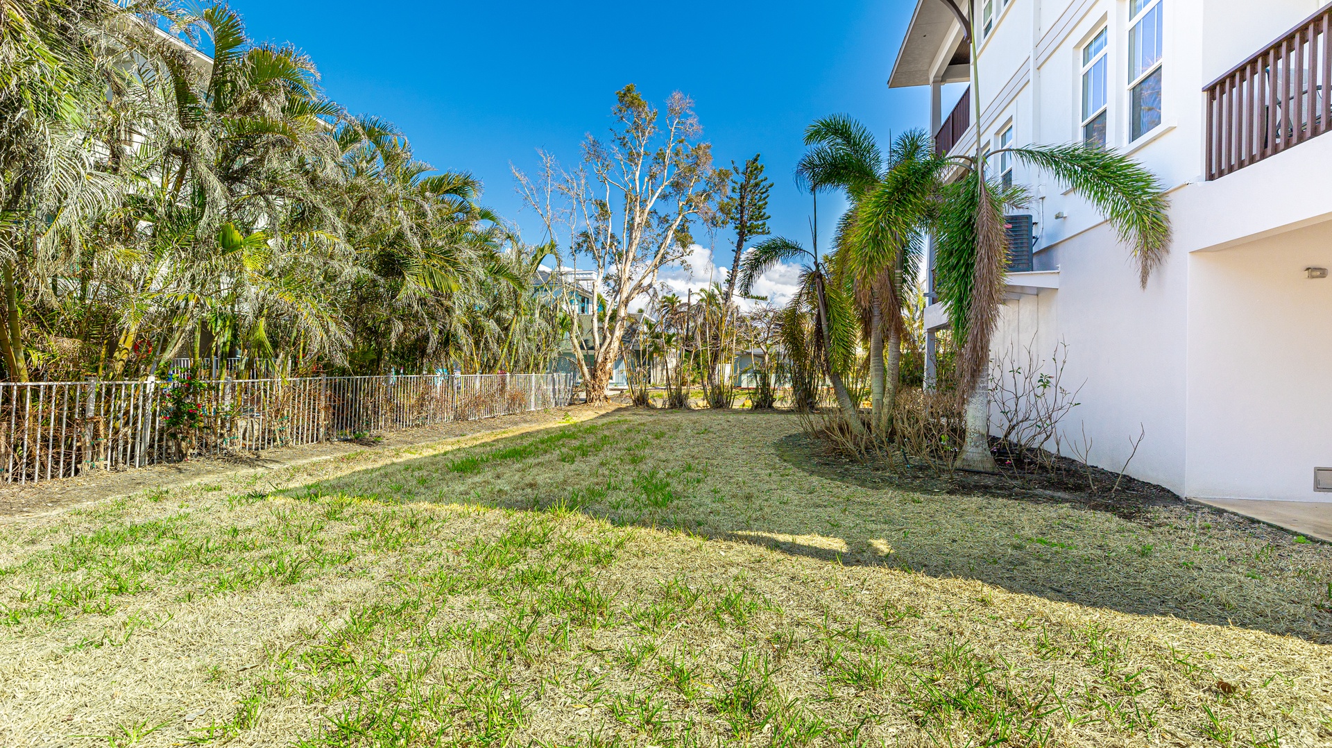 Fiesta Playa | Photo 35