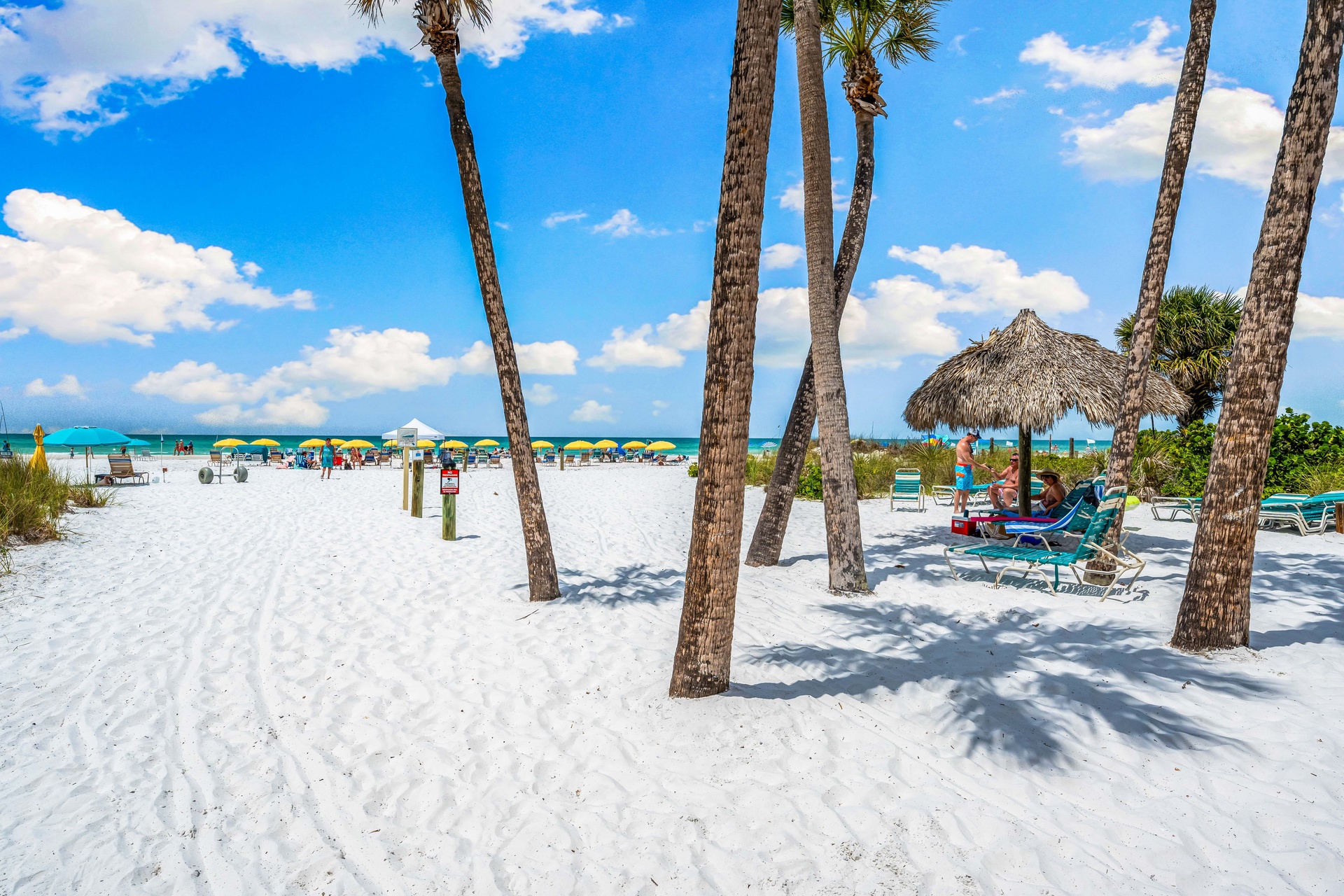 Sea Shell - 308 | Photo 1