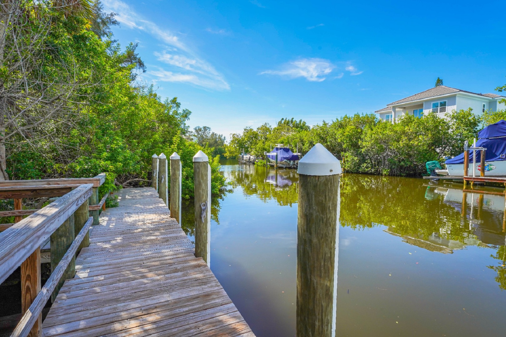 Off the Hook | Photo 45