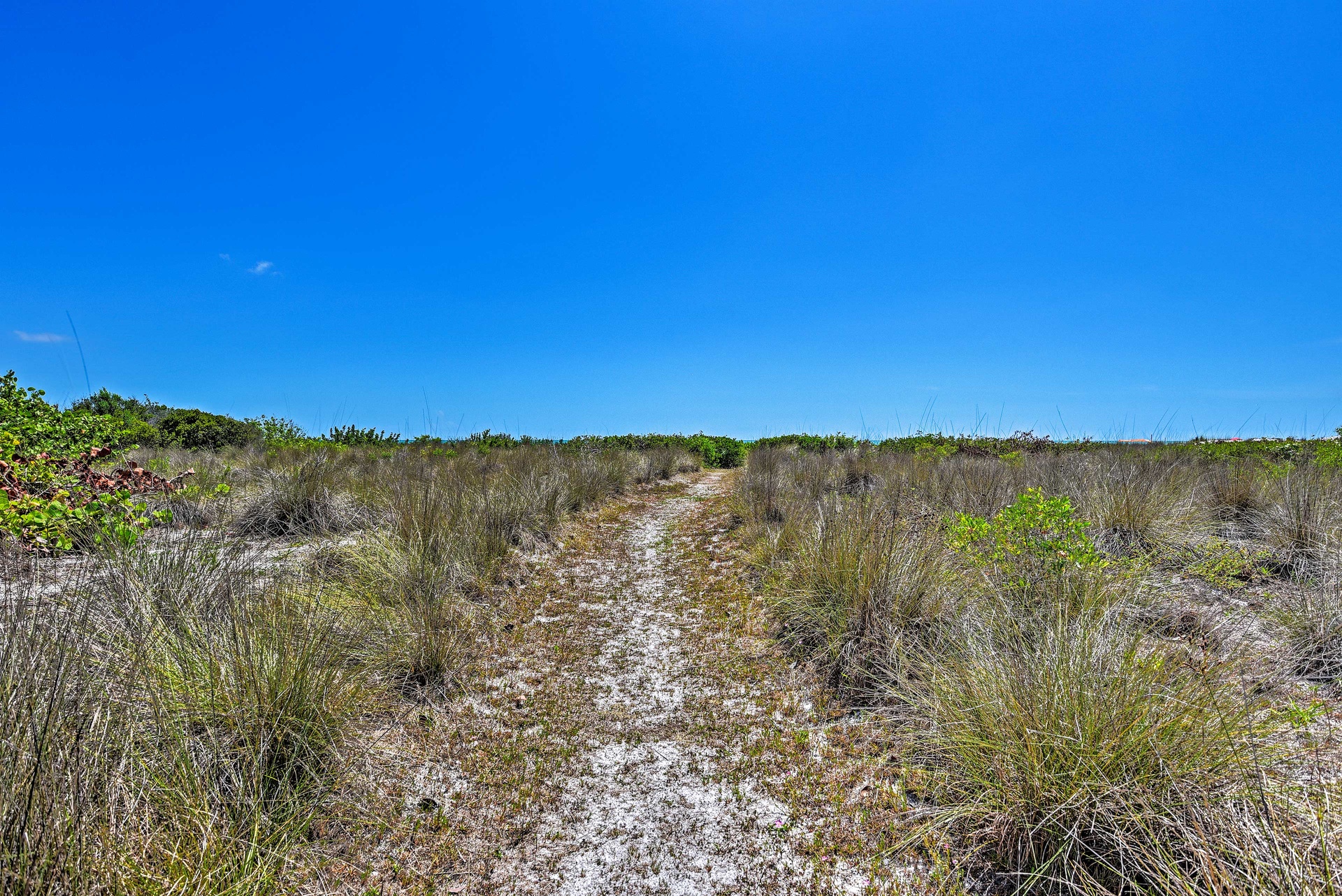 Coastal Surfside Swank | Photo 28