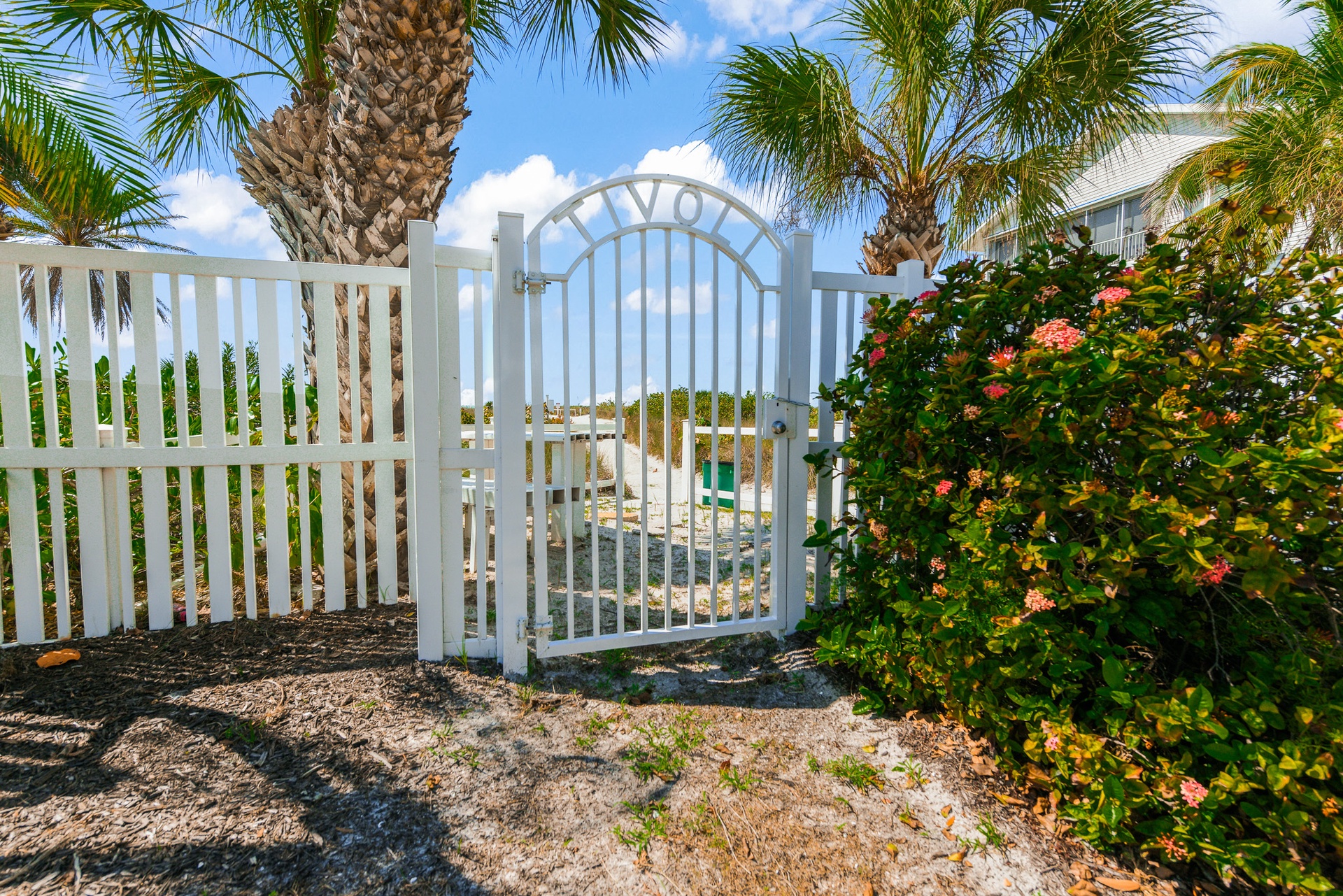 Tivoli by the Sea: 502 | Photo 498