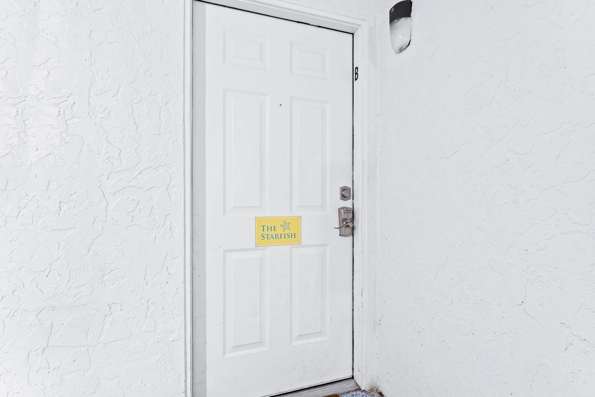 Living the Dream - Starfish | Photo 21