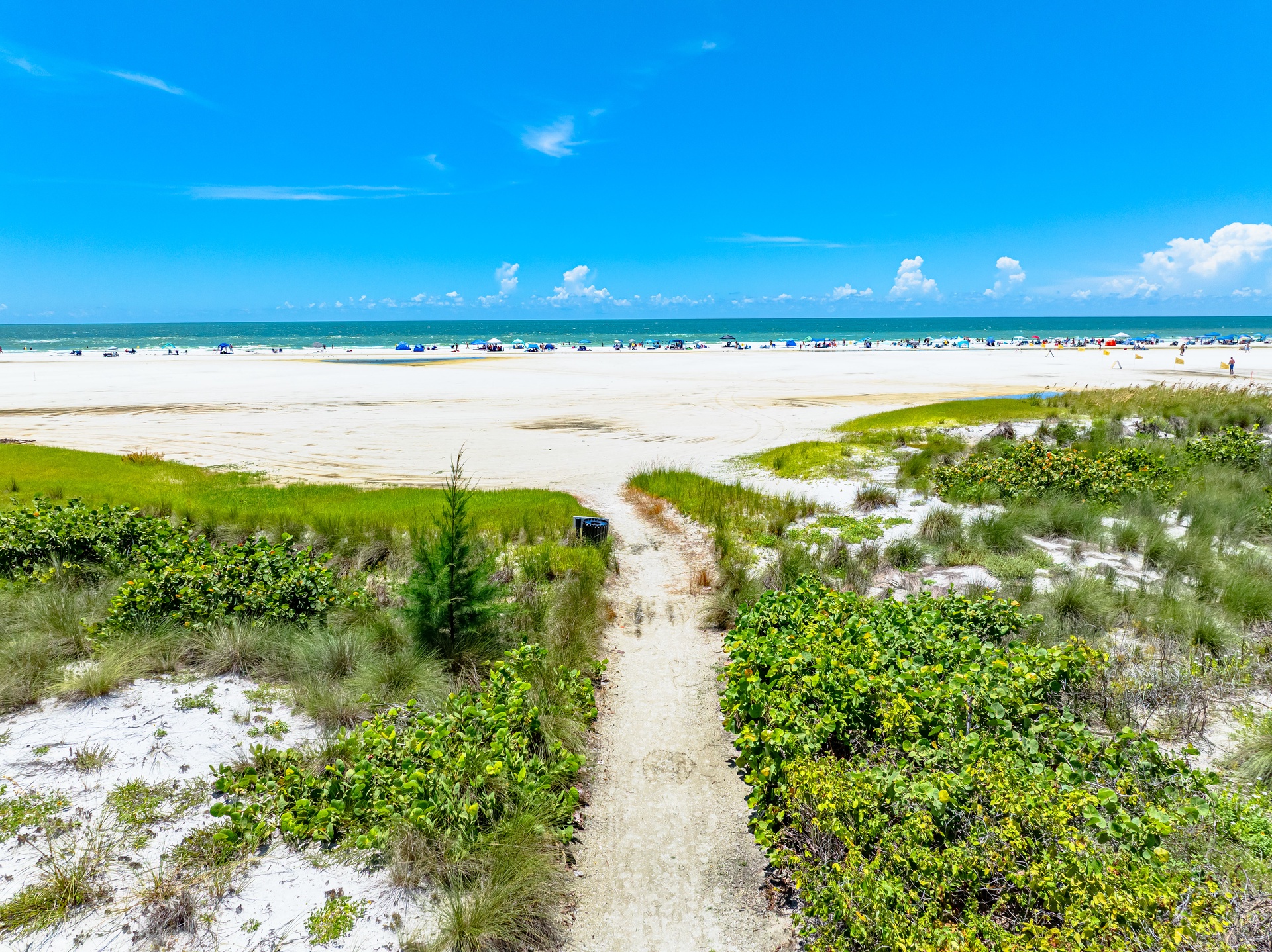 Gulf & Bay Club - F306 | Photo 39