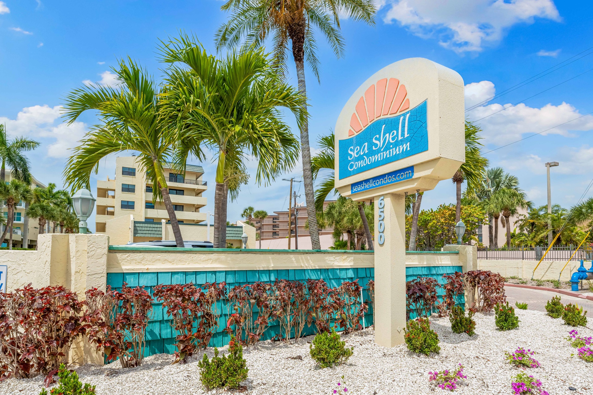 Sea Shell - 308 | Photo 473