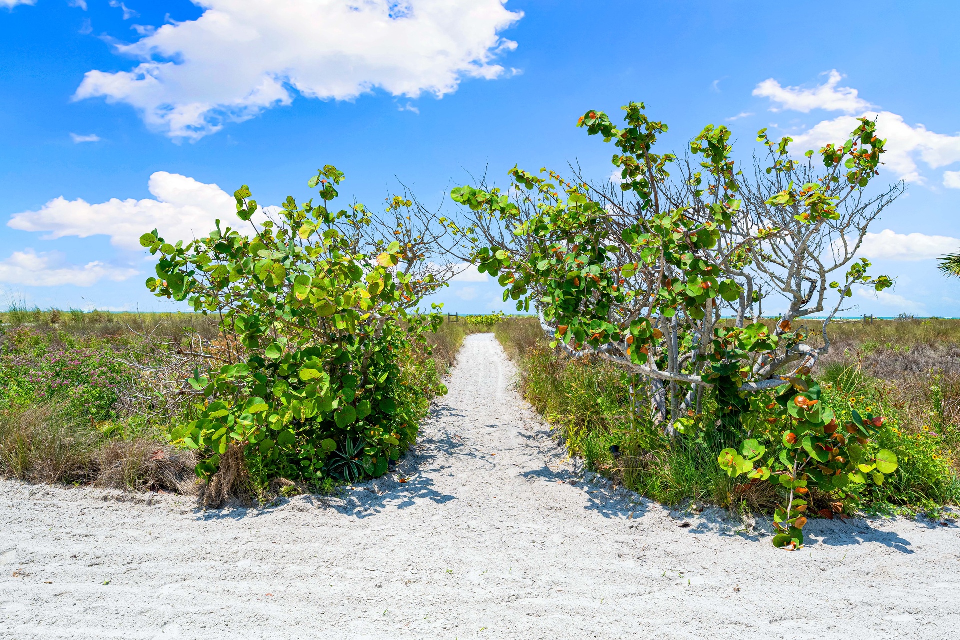 Posh Paradise | Photo 70