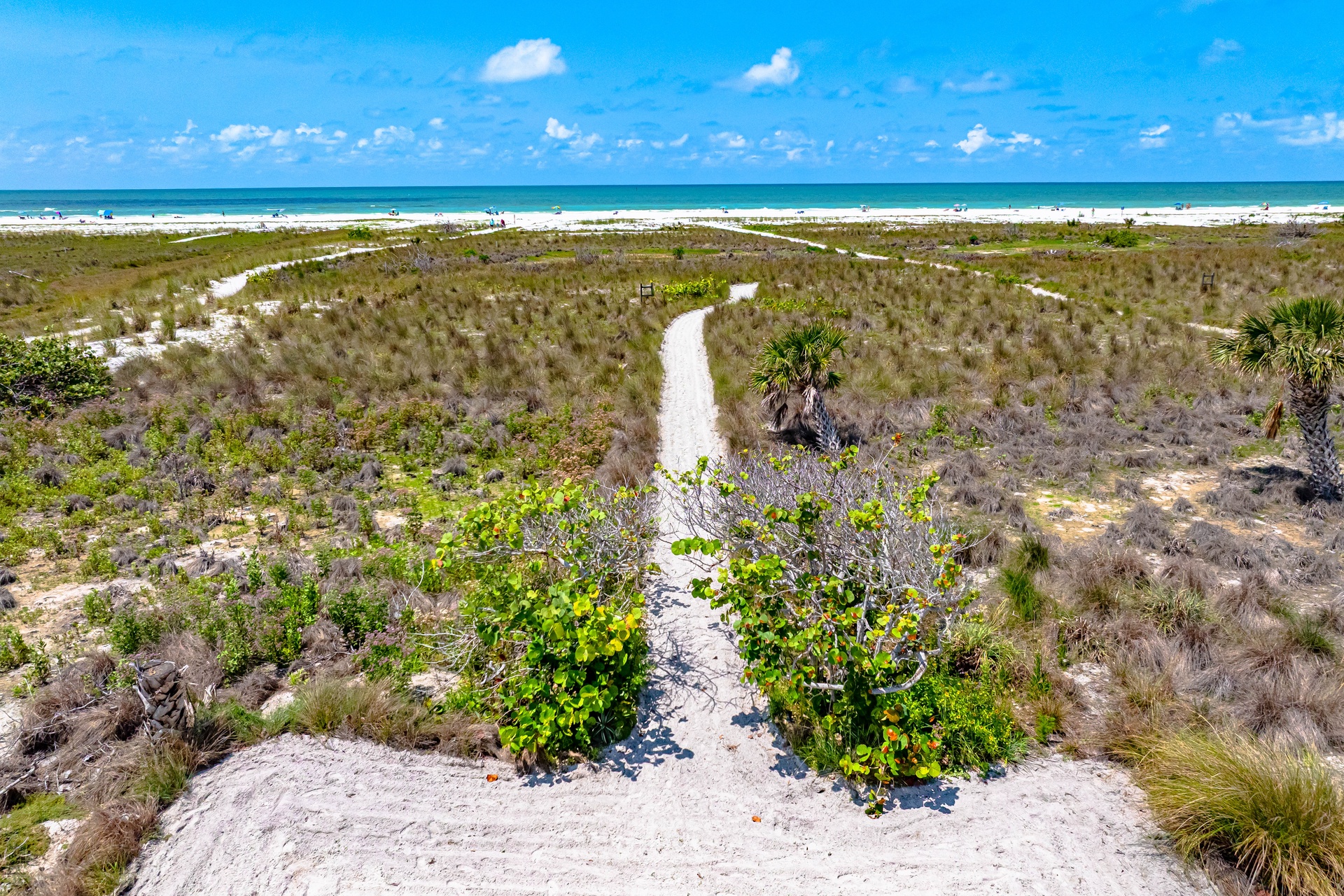 Posh Paradise | Photo 72