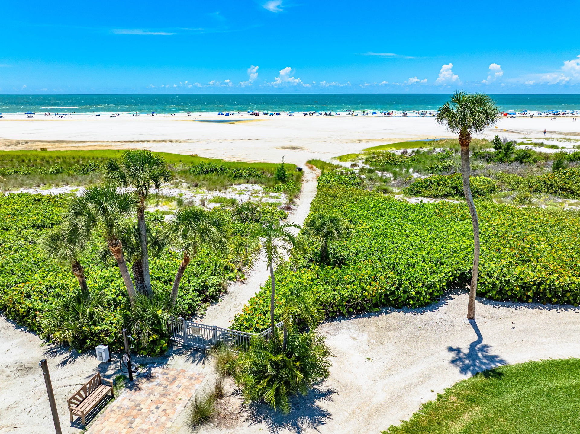 Gulf & Bay Club - F306 | Photo 479