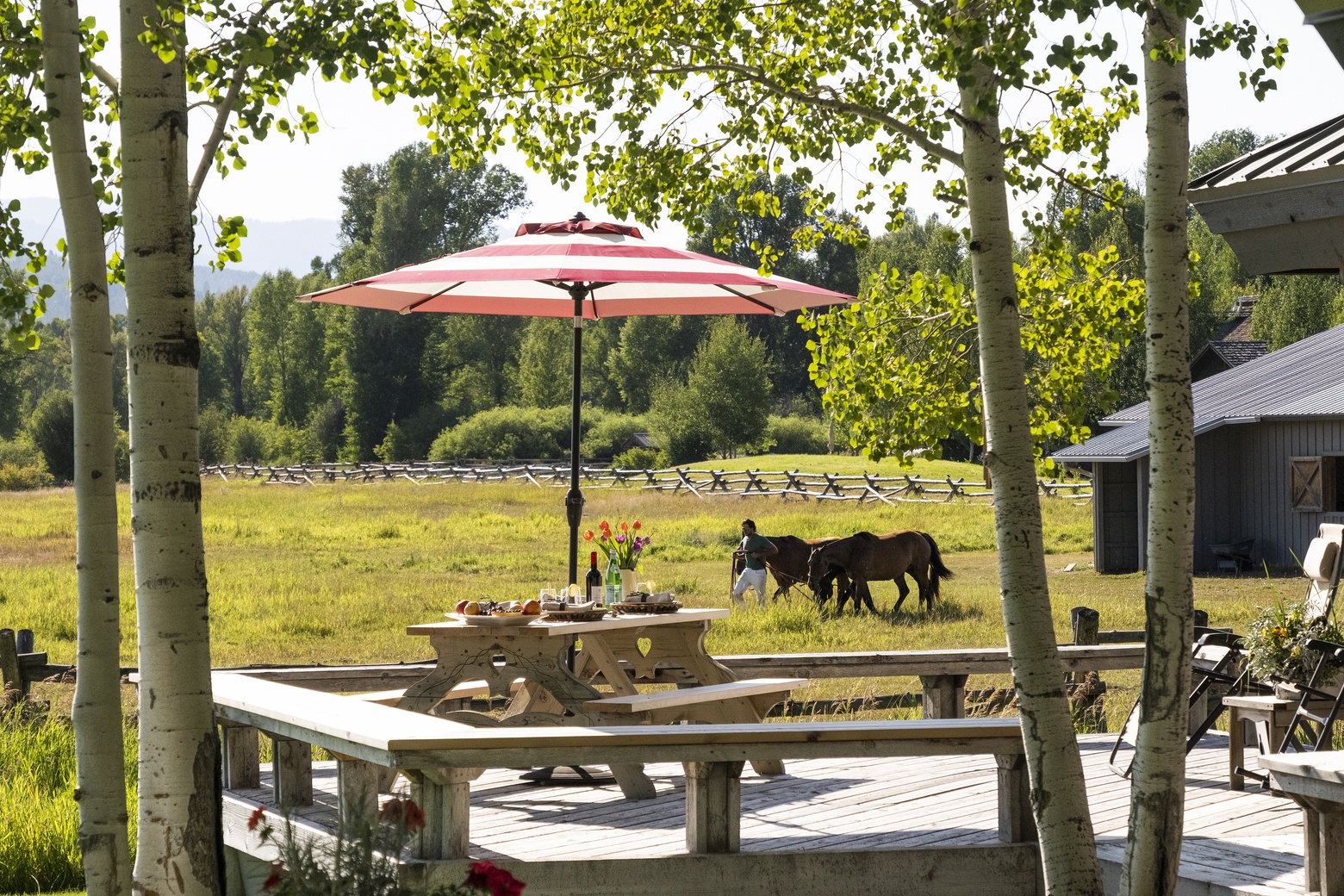 shooting-iron-ranches-jackson-hole-reall-estate-0298