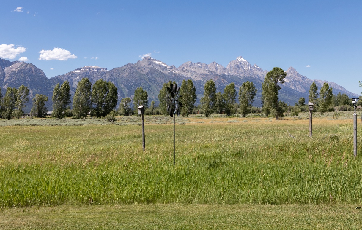 655EOatgrass-42