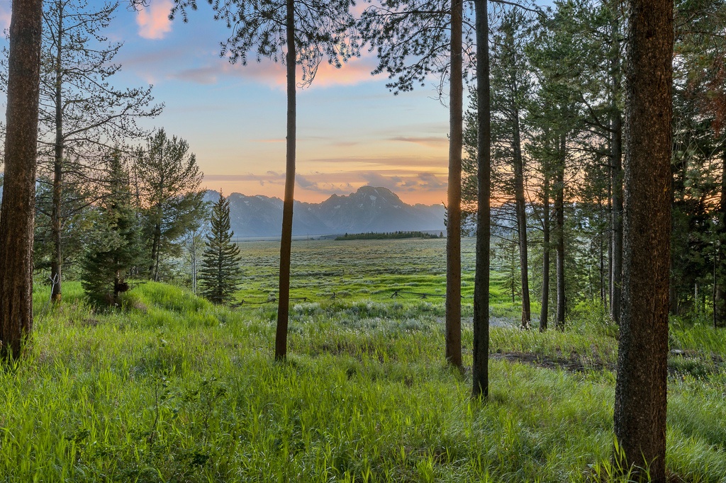 8580 Creek Crossing Twilight-6