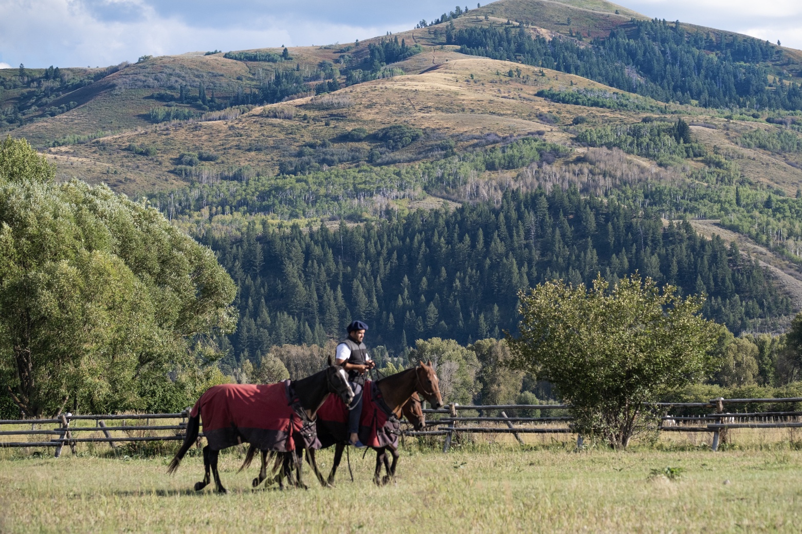 shootin-iron-south-park-jackson-hole-property-0728-2