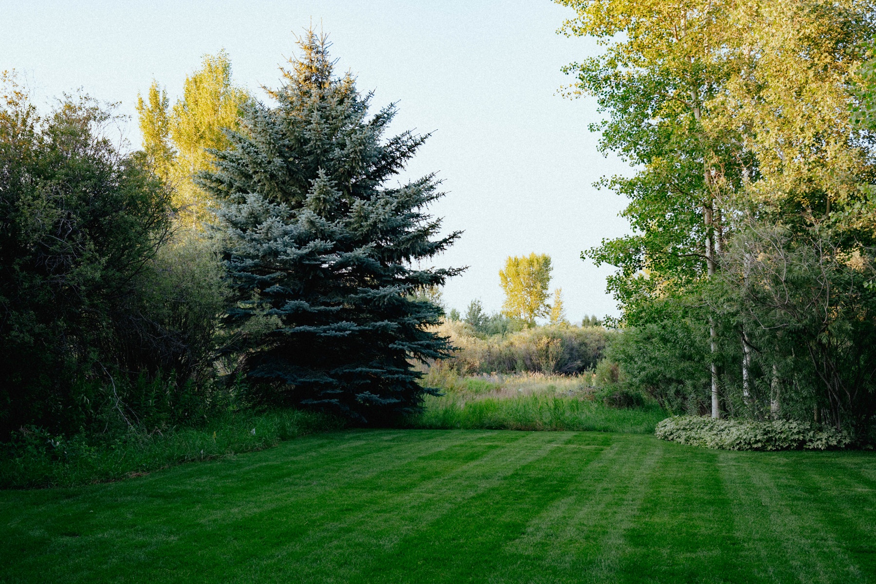 DSC05761