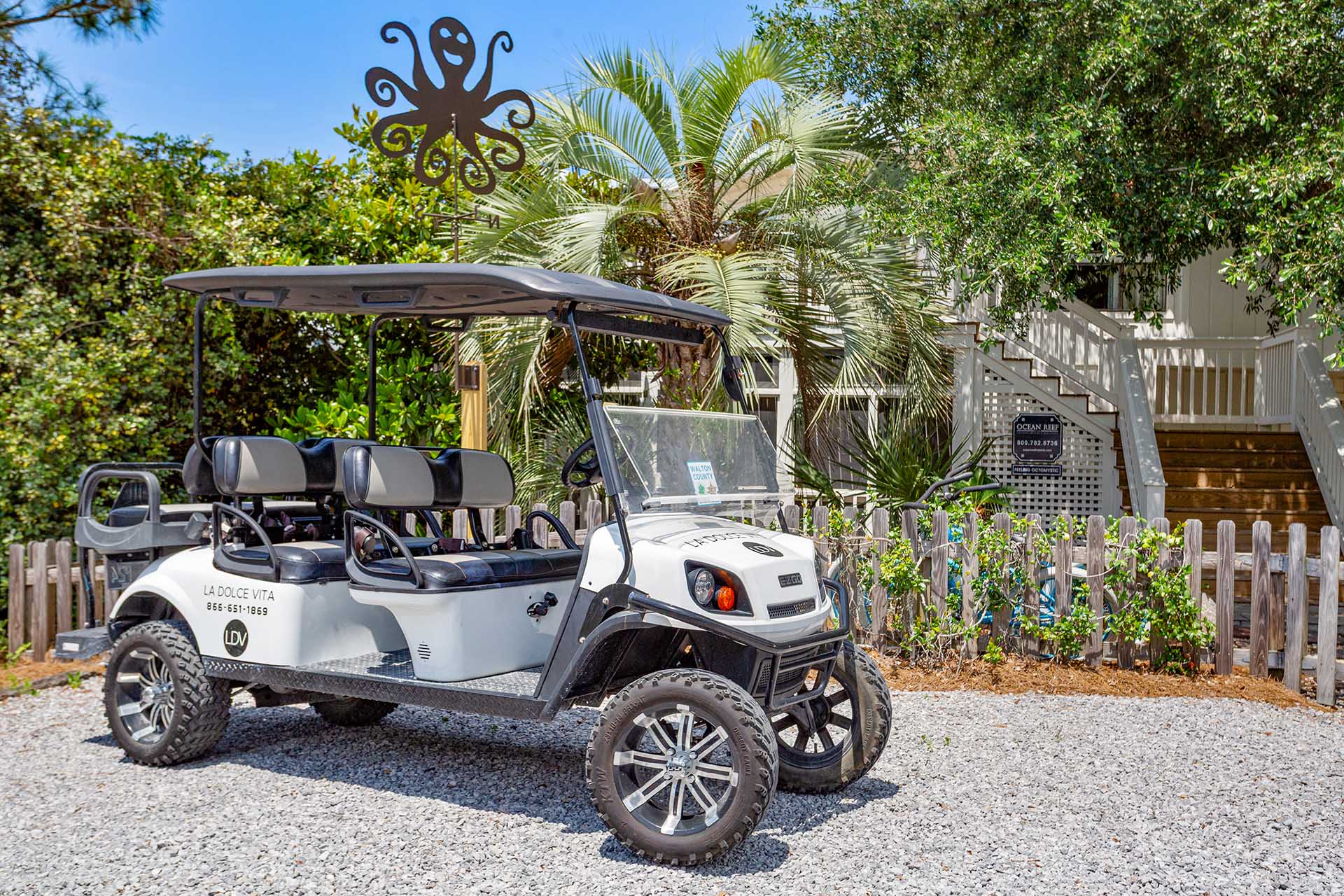 Feeling Octomystic Golf Cart