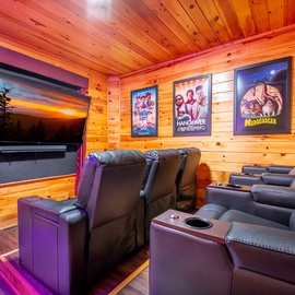 Sharp Dressed Bear's theater room