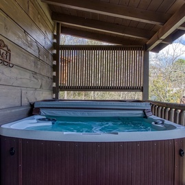 Bear Hug's bubbling hot tub