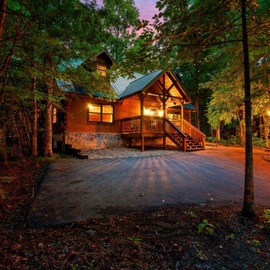 Charming log cabin nestled among towering trees with warm lighting and private parking for a perfect forest retreat.
