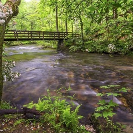 Lil Bear's Den is along the Little Pigeon River