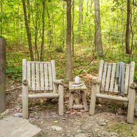 A secluded forest seating area featuring rustic wooden chairs set among verdant trees—perfect for morning coffee or quiet reflection in nature.