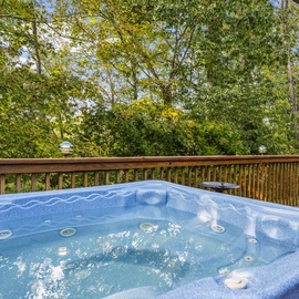 Majestic Elk Hideaway's bubbling hot tub