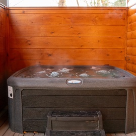 Three Little Bears' bubbling hot tub