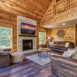 Birchwood Lodge's cozy living area