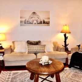 Chalet in the Smokies' cozy living area