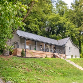 A charming modern cabin nestled in a lush wooded hillside, offering a private retreat surrounded by towering trees and natural greenery.