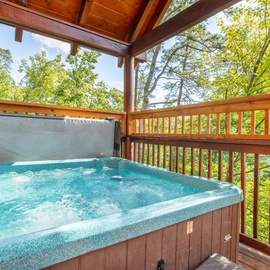 Sharp Dressed Bear's bubbling hot tub
