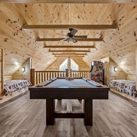 Bearadise's pool table