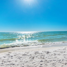 Beach at Shores of Panama