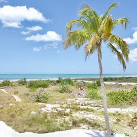 Beach at Lone Palm Retreat