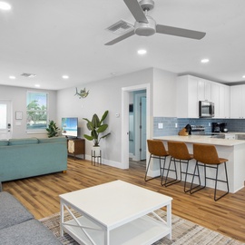 Open living/kitchen area