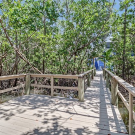Enjoy the nature right in your back yard.