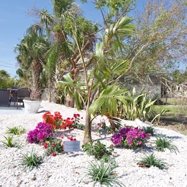 Beautiful Landscaping