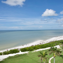 Your gulf view!