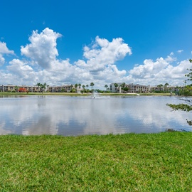 Pristine Lake Views