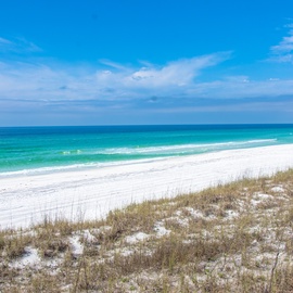 Pristine white sand beach stretches along turquoise waters under brilliant blue skies with natural dune vegetation.