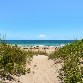NHB2: Sunswept | Walkway to Beach