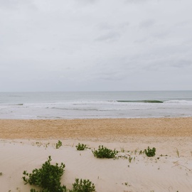 JR0702C: OBX Coastal Dunes 3 | Porch View
