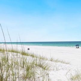 Pristine white sand beach with emerald waters stretches endlessly, framed by natural dune grasses swaying in the coastal breeze.