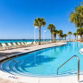 Beachfront pool area lined with swaying palms and loungers, with turquoise Gulf waters just steps away.