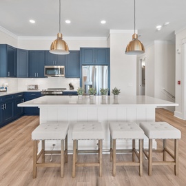 Your gourmet kitchen features navy blue cabinetry, quartz countertops, and a spacious island where you can gather for meals and memories.