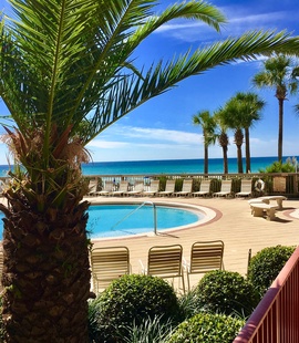 Beautiful Landscaping and Pool