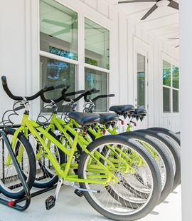 Go for a bike ride
